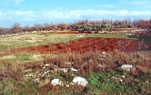 Bibali - campi di terra rossa